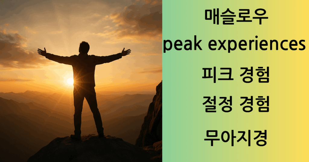 매슬로우의 피크경험 정상에서 환호하는 사람과 함께 피크경험, 절정경험, 무아지경 이라는 단어가 적힌 이미지